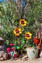 Garden Sculpture Display in Nevada Cactus Nursery Royalty Free Stock Photo