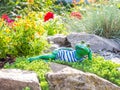 A garden sculpture of a frog lying on the floor reading a book