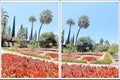 \'The Garden of the Senses\' section of Malaga Botanical Garden Royalty Free Stock Photo