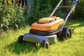 Garden Serenity Lawncare Bliss with the Lawnmower