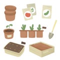 Garden set for spring plantings, seedlings, pots, seeds. Vector illustration.