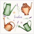 Garden Set of watercolor garden watering cans with sprigs of lavender, hand drawing.