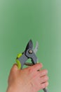 Garden shears. Gardening Tools in female hands on a green background.Gardening and horticulture. Garden Plants Pruning