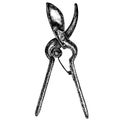 Garden shears. Grafic illustration of garden tools. Isolated on white background.