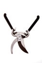 Garden shears isolated