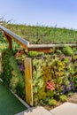 Garden shed with green roofing and vertical garden, green roofing concept Royalty Free Stock Photo