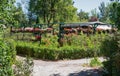 Garden shed surrounded by a hanging baskets filled with begonia`