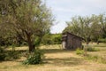 Garden shed and trees in orchard Royalty Free Stock Photo