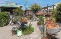 Garden shop, full of color