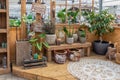 Garden shop selling plants and accessories like flower pots