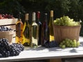 A garden shot of red green and blue grapes outside in baskets in the sunshine with wines Royalty Free Stock Photo