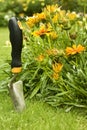 Garden shovel Royalty Free Stock Photo