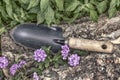 Garden shovel, rusty, on the tree trunk between flowers