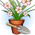 Garden shovel and window plant Royalty Free Stock Photo