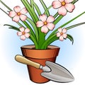 Garden shovel and window plant