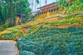 The garden on the slope, Mae Fah Luang, Doi Tung, Thailand