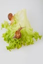 Garden Snail on lettuce leaves on a white background. Studio shot. Royalty Free Stock Photo