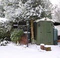 Garden in the Snow