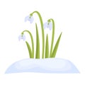 Garden snowdrop icon cartoon vector. Spring flower