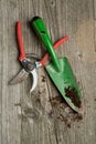 Garden spade and garden scissors with ground