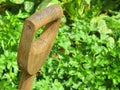 Garden spade handle with a green foliage background