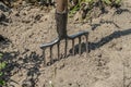 Garden species stuck in the soil close-up. Rusty pitchfork stands in the sun