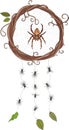 Garden-spider sitting in a web in a wreath of vines, forming a dream catcher and hanging flies on the webs