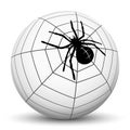 Garden Spider on White Sphere