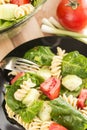 Garden spinach and rotini pasta salad Royalty Free Stock Photo