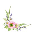 Garden springtime flower decoration. Watercolor illustration. Spring tender pink poppy, white daisy, lavender flowers