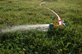 Garden sprinkler on the lawn