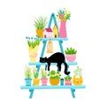 Garden stairway with black sleeping cat. Spring installation with flower pots, vase, decorated with Scandinavian houses