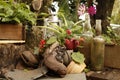 Garden still life with old boots Royalty Free Stock Photo