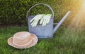 Watering can, garden gloves and summer hat on green grass.