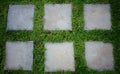 Garden stone path with grass. Royalty Free Stock Photo