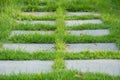 Garden stone path with grass growing up between the stones Royalty Free Stock Photo