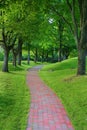 Garden stone path in park Royalty Free Stock Photo