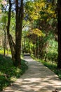 Garden stone path in park Royalty Free Stock Photo