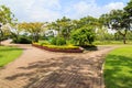 Garden stone path in park Royalty Free Stock Photo