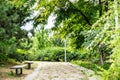 Garden stone path in park Royalty Free Stock Photo