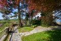 Garden with stone tiled path, red beech and pine tree in a sunny day, Italy