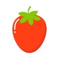 Garden strawberry fruit or strawberries flat color vector icon