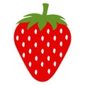Garden strawberry fruit or strawberries