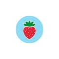 Garden strawberry fruit or strawberries flat color vector icon for food apps and websites