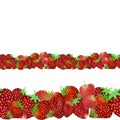 Garden Strawberry horizontal seamless border isolated on white background