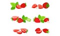 Garden Strawberry with Mature Red Fruit Vector Set