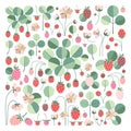 Garden Strawberry Set with Red Berries and Twigs
