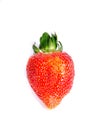 One fresh sweet red strawberry showing off its seeds Royalty Free Stock Photo