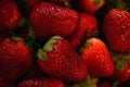 Ripe strawberries ready to make strawberry shortcake Royalty Free Stock Photo