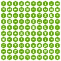 100 garden stuff icons hexagon green Royalty Free Stock Photo